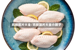 鸡翅图片大全/鸡翅图片大全小牌子