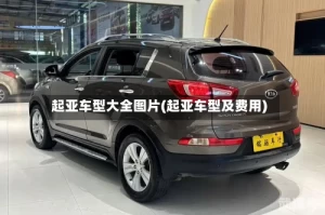起亚车型大全图片(起亚车型及费用)