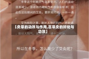 【灸草的功效与作用,百草灸的好处与功效】