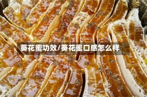 葵花蜜功效/葵花蜜口感怎么样