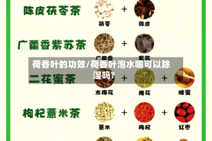 荷香叶的功效/荷香叶泡水喝可以除湿吗?