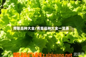 青菜品种大全/青菜品种大全一览表
