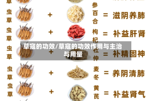 草寇的功效/草寇的功效作用与主治与用量
