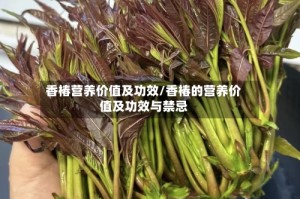 香椿营养价值及功效/香椿的营养价值及功效与禁忌
