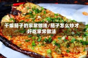 干煸茄子的家常做法/茄子怎么炒才好吃家常做法