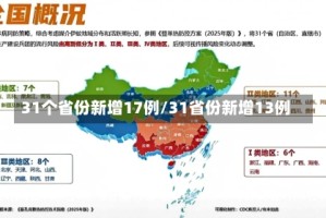 31个省份新增17例/31省份新增13例