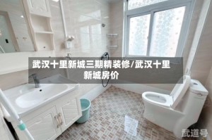 武汉十里新城三期精装修/武汉十里新城房价