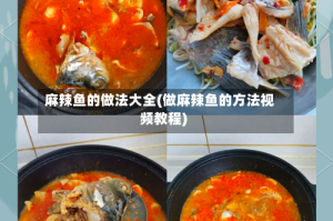 麻辣鱼的做法大全(做麻辣鱼的方法视频教程)