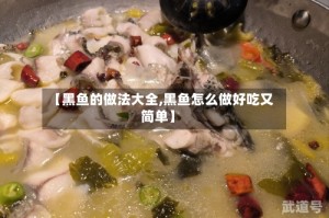 【黑鱼的做法大全,黑鱼怎么做好吃又简单】