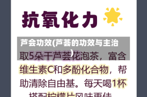 芦会功效(芦荟的功效与主治)