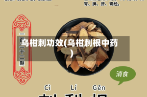 乌柑刺功效(乌柑刺根中药)