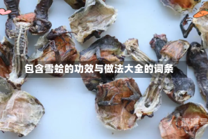 包含雪蛤的功效与做法大全的词条