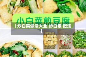 【炒白菜做法大全,炒白菜 做法】