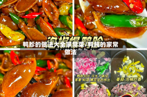 鸭胗的做法大全家常菜/鸭肫的家常做法