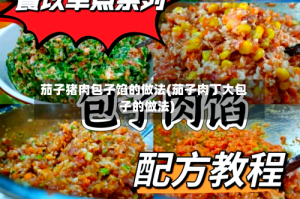 茄子猪肉包子馅的做法(茄子肉丁大包子的做法)