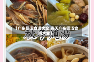 【广东煲汤食谱大全,春天广东煲汤食谱大全】