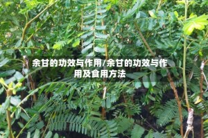 余甘的功效与作用/余甘的功效与作用及食用方法