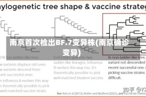 南京首次检出BF.7变异株(南京确诊变异)