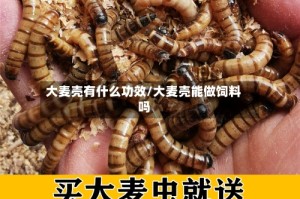 大麦壳有什么功效/大麦壳能做饲料吗