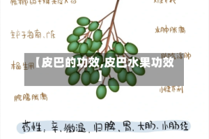 【皮巴的功效,皮巴水果功效】