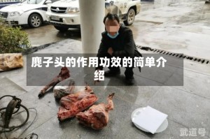 麂子头的作用功效的简单介绍