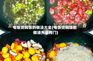 电饭煲焖饭的做法大全(电饭煲焖饭的做法大全窍门)