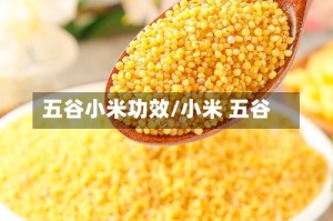 五谷小米功效/小米 五谷