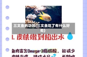 三文鱼的功效(三文鱼吃了有什么好处)