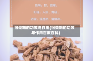 银柴胡的功效与作用(银柴胡的功效与作用百度百科)