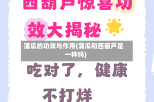 蒲瓜的功效与作用(蒲瓜和西葫芦是一种吗)