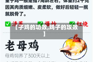 【子鸡的功效,鸡子的攻效】