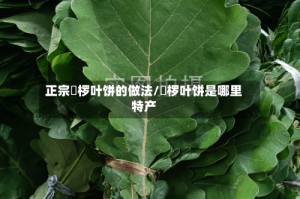 正宗桲椤叶饼的做法/桲椤叶饼是哪里特产