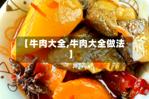 【牛肉大全,牛肉大全做法】