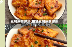 豆腐皮的做法(柏合豆腐皮的做法)