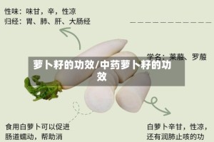 萝卜籽的功效/中药萝卜籽的功效