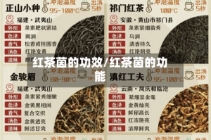 红茶茵的功效/红茶茵的功能