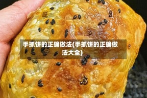 手抓饼的正确做法(手抓饼的正确做法大全)