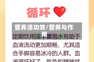 营养活功效/营养与作用