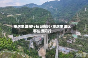 重庆主城限行桥隧图片/重庆主城区哪些桥限行