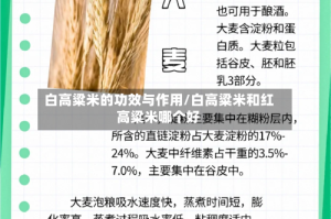 白高粱米的功效与作用/白高粱米和红高粱米哪个好