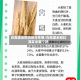 白高粱米的功效与作用/白高粱米和红高粱米哪个好