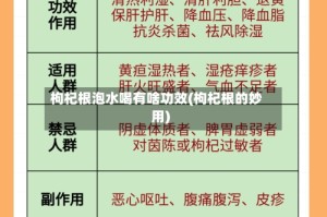 枸杞根泡水喝有啥功效(枸杞根的妙用)