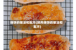 烧饼的做法和配方(鲜肉烧饼的做法和配方)