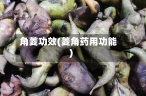 角菱功效(菱角药用功能)