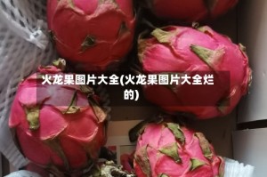 火龙果图片大全(火龙果图片大全烂的)
