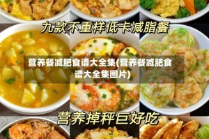 营养餐减肥食谱大全集(营养餐减肥食谱大全集图片)