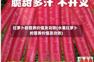 红萝卜的营养价值及功效(水果红萝卜的营养价值及功效)