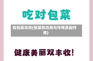 包包菜功效(包菜的功效与作用及副作用)