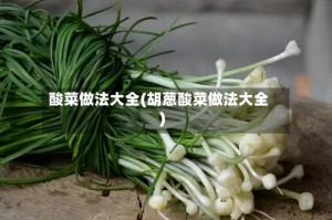 酸菜做法大全(胡葱酸菜做法大全)