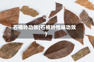 石楠叶功效(石楠叶性味功效)
